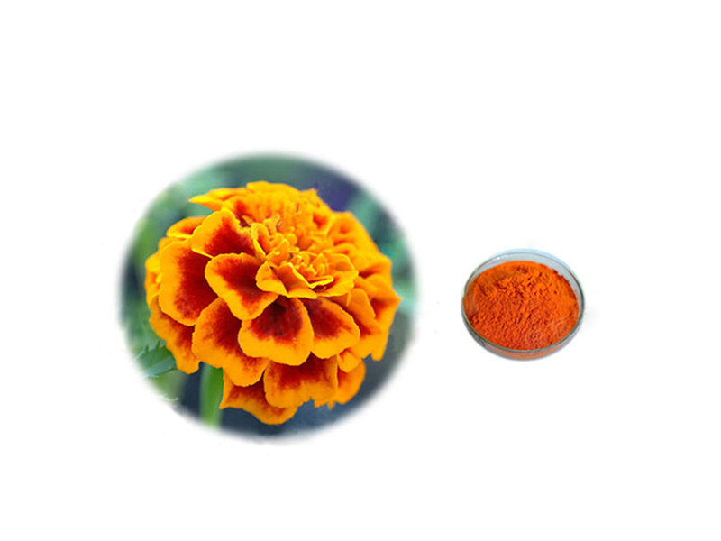 Zeaxanthin (Marigold Extract)