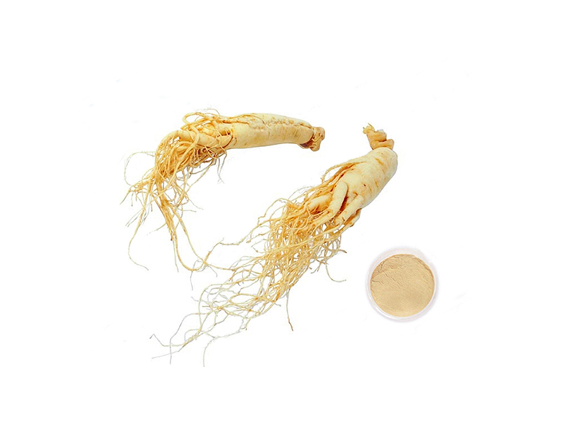 Ginseng-Extract