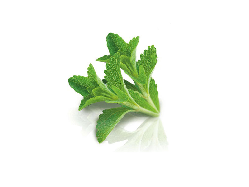 Stevia-Leaf-Extract