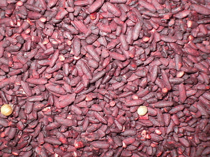 Red Rice Yeast extract