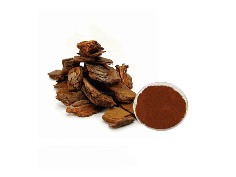 Pine Bark Extract