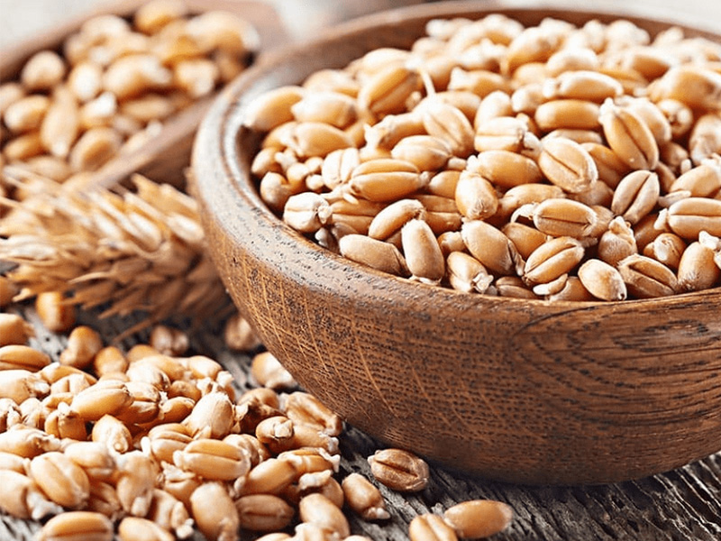 Spermidine from Wheat Germ Extract; GLUTEN FREE; GMO FREE; VEGAN.