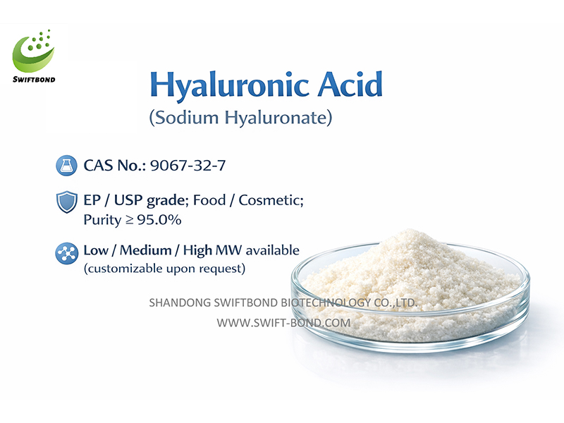 Hyaluronic Acid (Sodium Hyaluronate) 