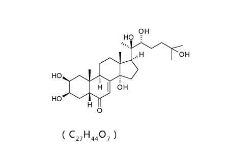 Cyanotis arachnoidea Extract (Ecdysterone)